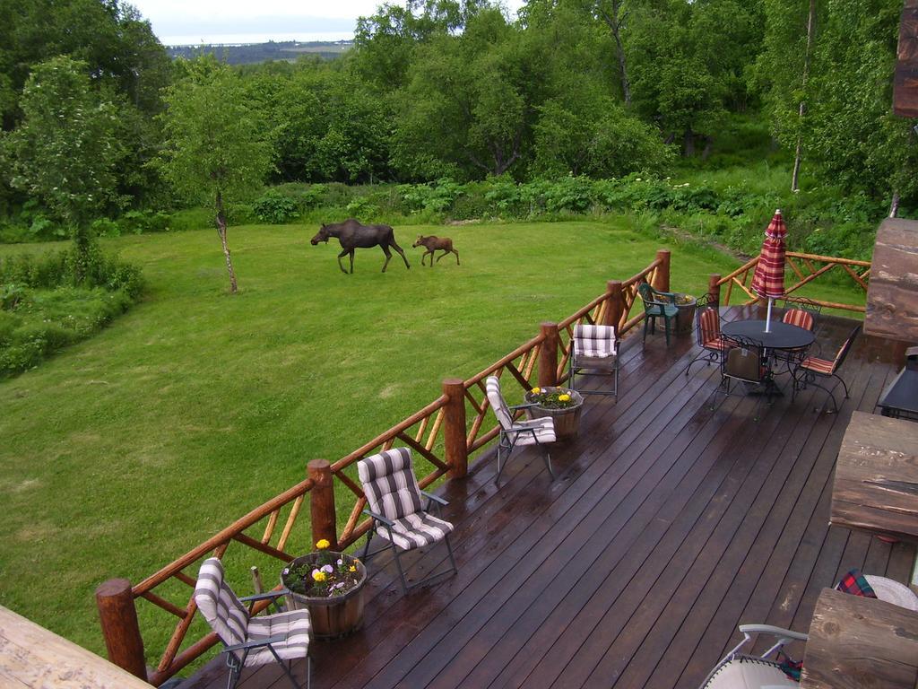 Juneberry Lodge Homer Eksteriør billede