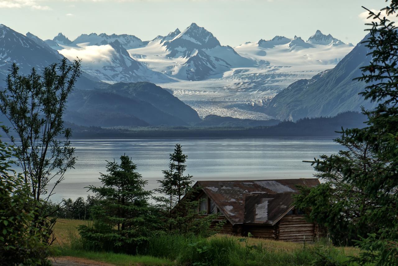 Juneberry Lodge Homer Eksteriør billede