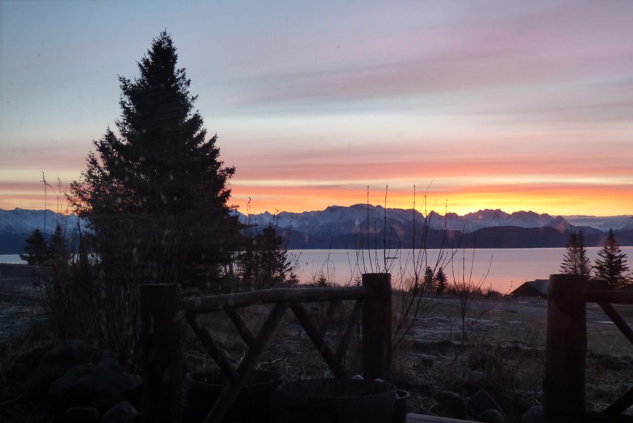 Juneberry Lodge Homer Eksteriør billede