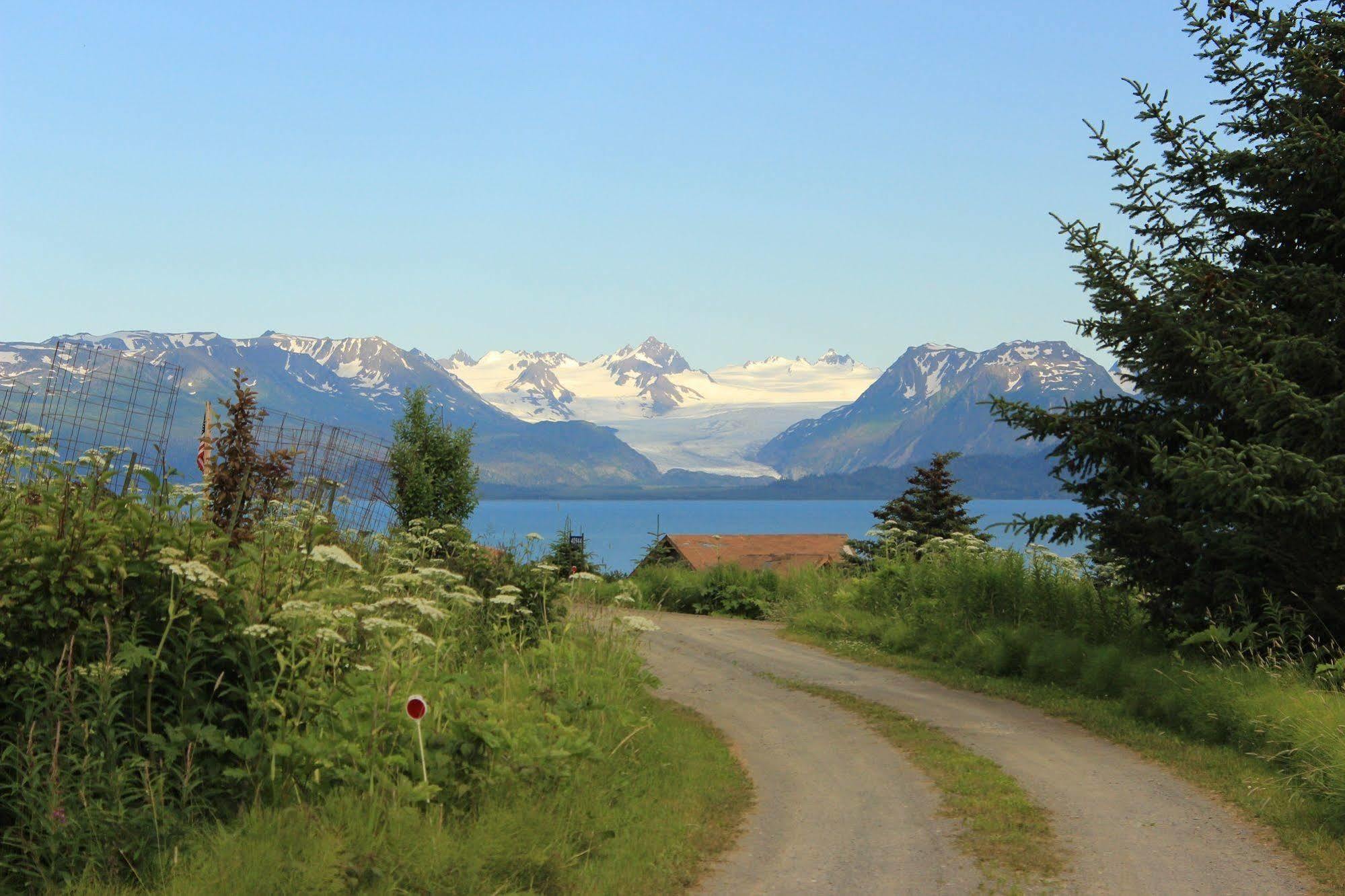 Juneberry Lodge Homer Eksteriør billede